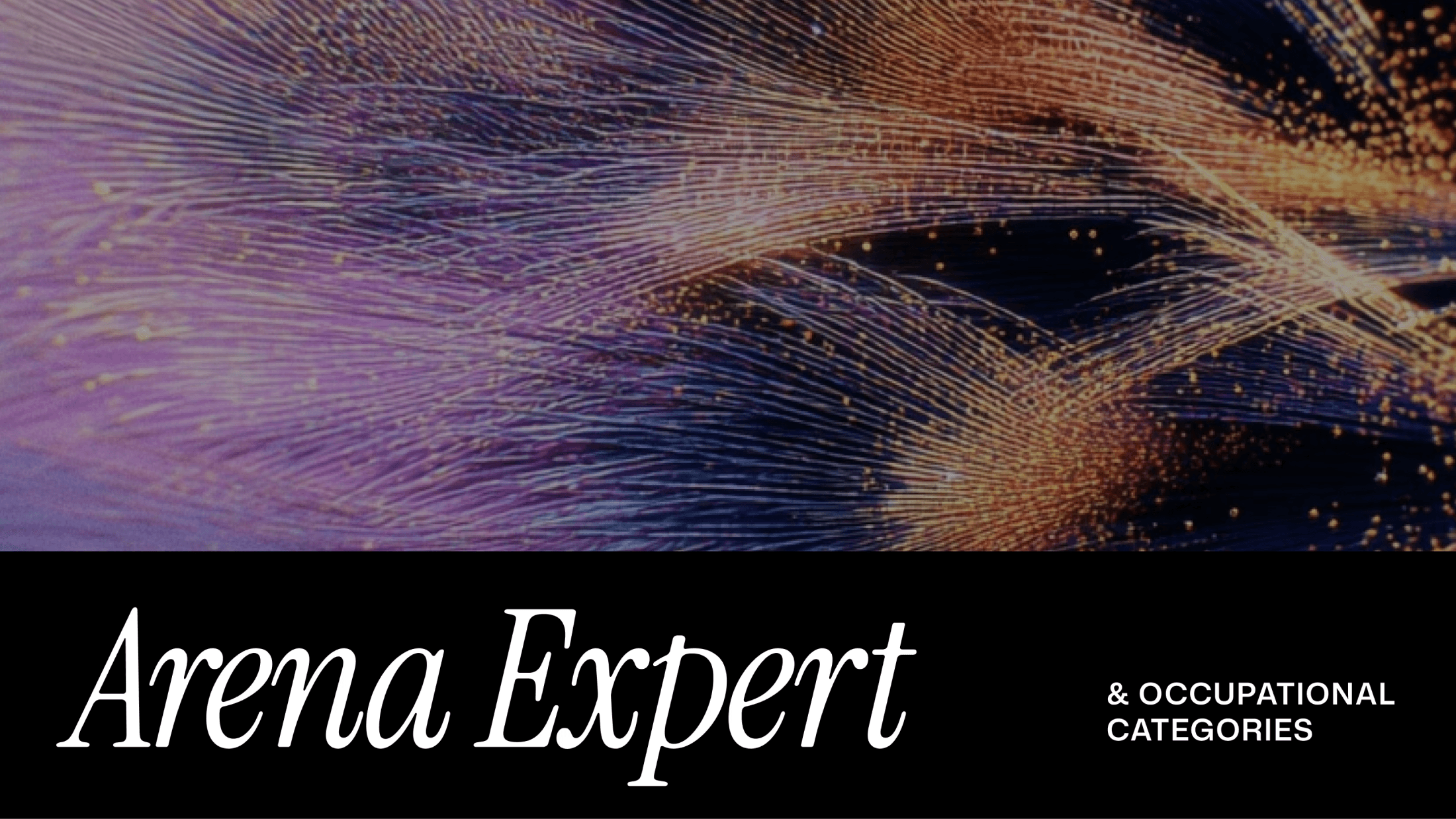 High Expert and Occupational Categories